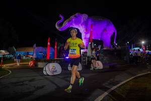 BIB: 
                            <button type="button" onclick="openModal(26552037)" class="btn btn-primary btn-sm float-right btn-popup" data-toggle="modal" data-target=".modal-high-quality">
                        <i class="fas fa-shopping-cart"></i> Add to Cart
                    </button>
                                            <button type="button" onclick="isThisMe(26552037, true)" class="btn btn-success btn-sm float-right btn-popup btn-isme hidden" data-toggle="tooltip" data-placement="bottom" title="นี่คือรูปของคุณใช่ไหม คลิกที่นี่เพื่อเอาเข้าอัลบั้ม">
                        <i class="fas fa-plus"></i> Add to album
                    </button>
                    <button type="button" onclick="isThisMe(26552037, false)" class="btn btn-warning btn-sm float-right btn-popup btn-isnotme hidden">
                        <i class="fas fa-ban"></i> Remove from album
                    </button>